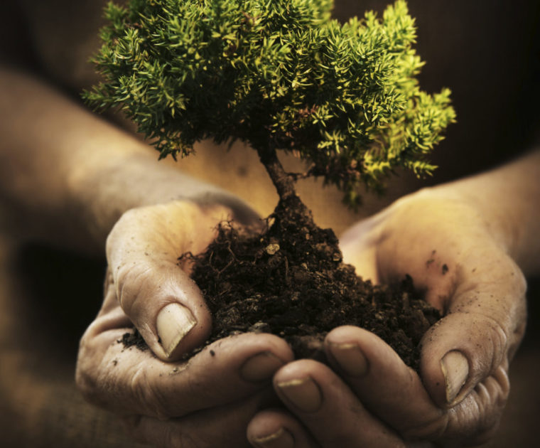 Lo que significa ejercer defensa sobre la tierra y no subirse a una simple tendencia 12 defensa sobre la tierra