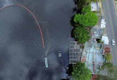 Cabello Humano: una alternativa para limpiar el Golfo de México 15 JIXWHYDKLNLCBIZ3MX4H6VVL4M