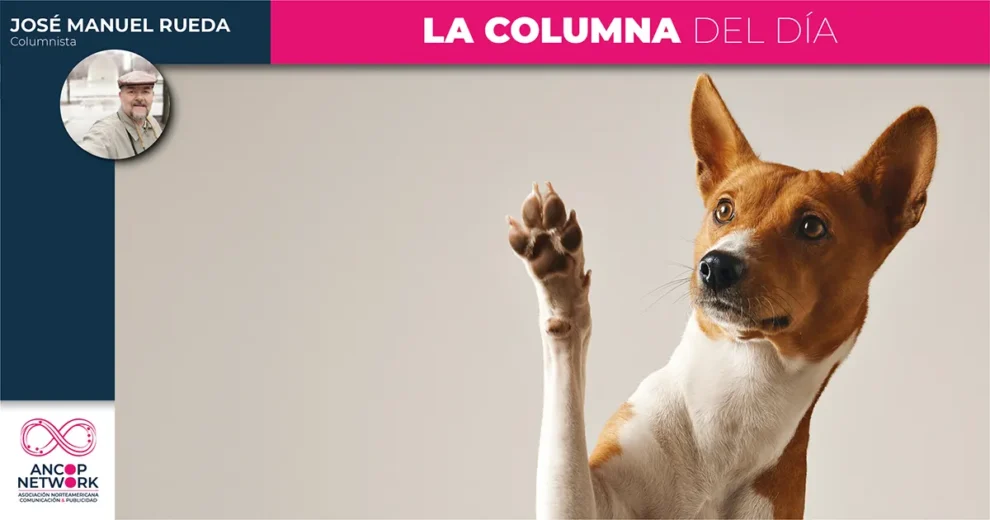 Amaestrados para no querer más 11 José Manuel Rueda