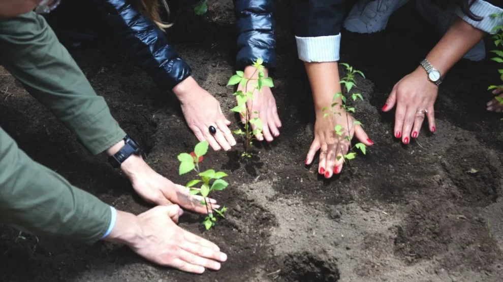 “Jardines para la Vida 2025” transforma Iztacalco en un refugio para la biodiversidad 11 Jardines