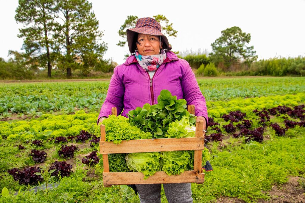 Sembrando conciencia: la fuerza de la agroecología 11 La agroecología