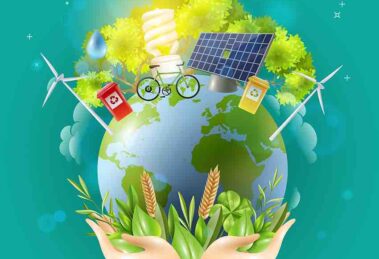 Las innovaciones verdes