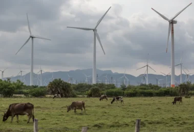 Llega para 2028 el parque eólico que aprovechará los vientos de Oaxaca