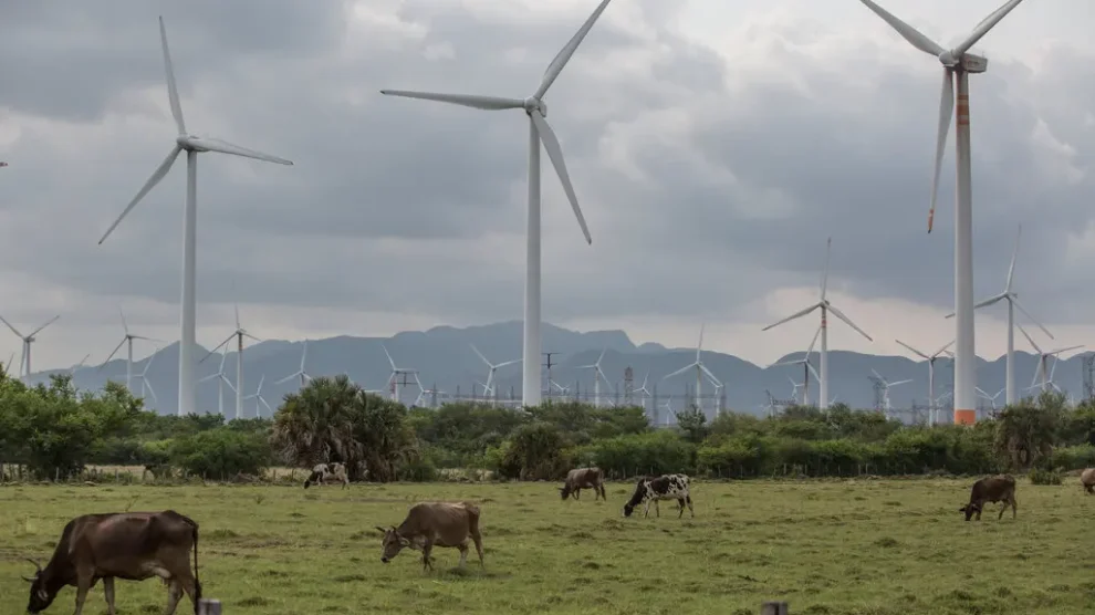 Llega para 2028 el parque eólico que aprovechará los vientos de Oaxaca