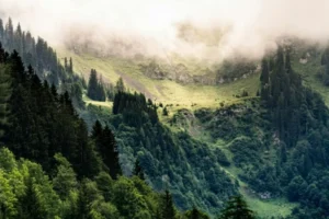 El Parque Nacional La Malinche celebra su 87° aniversario con una semana cultural y ambiental  19 Malinche
