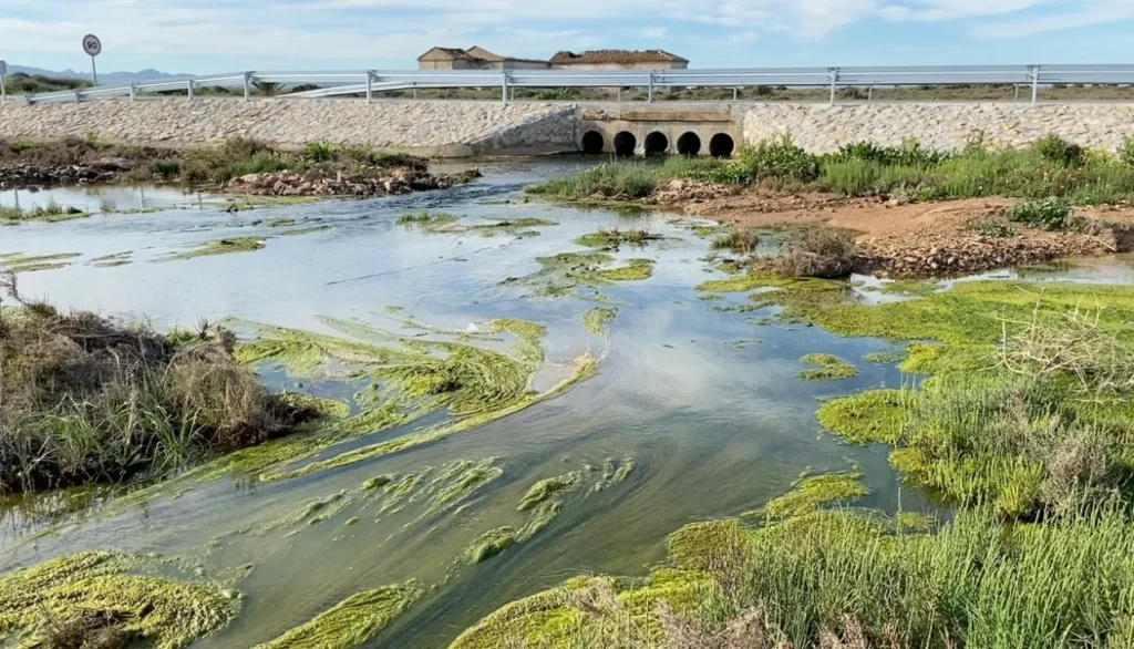 La amenaza que está provocando la industrialización en el Mar Mediterráneo 11 Mar Mediterraneo