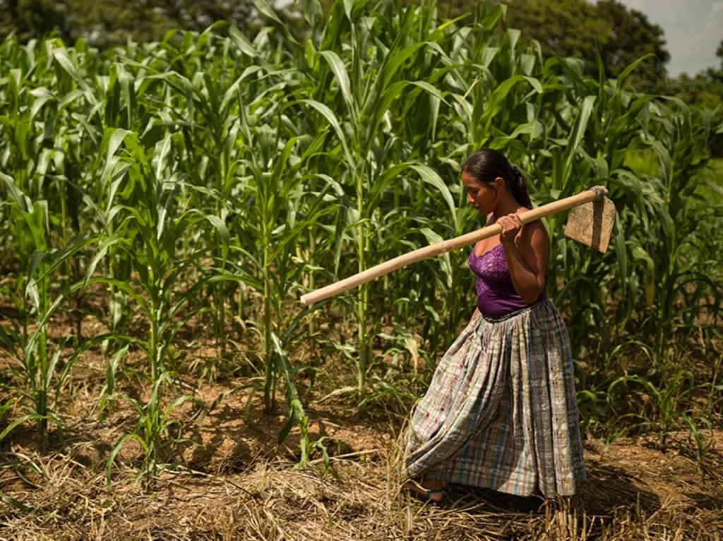 Mujeres rurales, una barrera clave contra el deterioro ambiental 11 Mujeres rurales 2