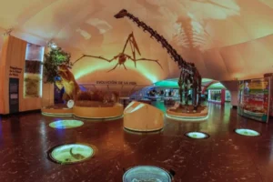 Museo de Historia Natural