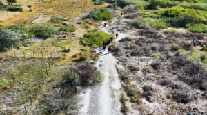 Ocupación ilegal amenaza un ecosistema clave en la costa norte de Yucatán