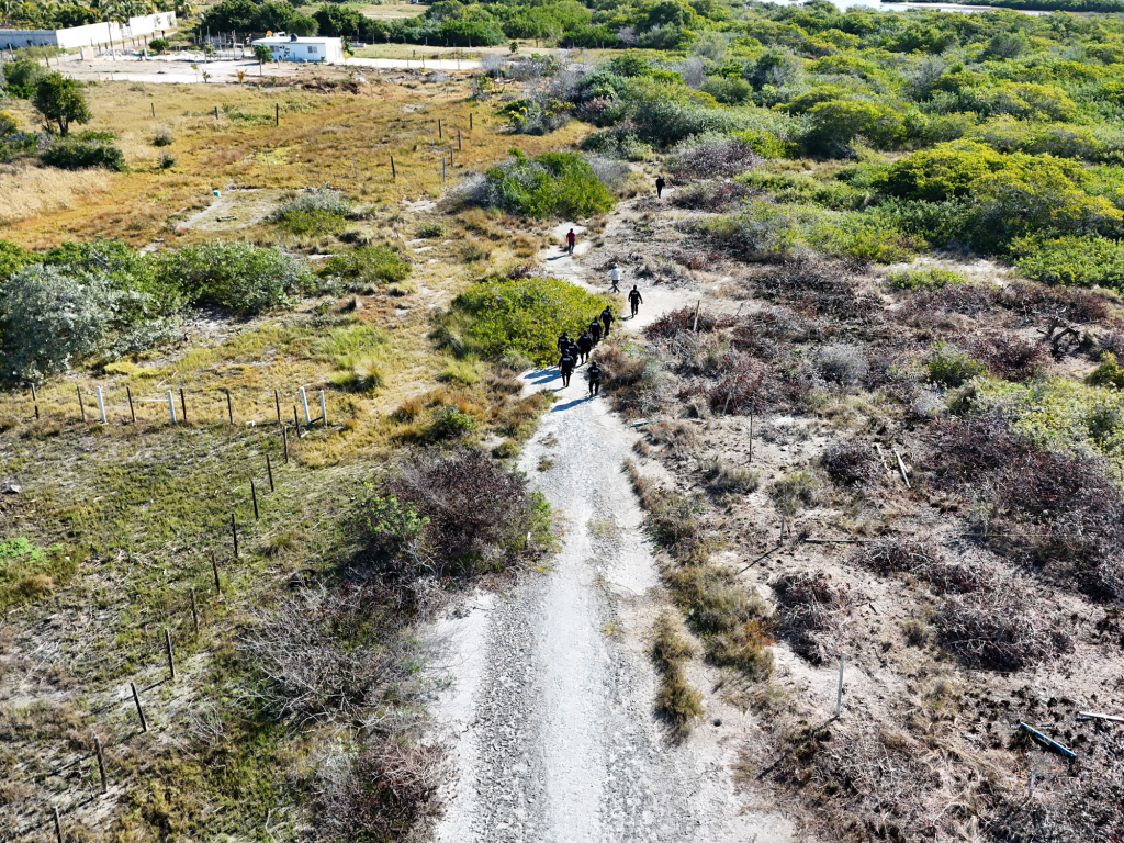 Ocupación ilegal amenaza un ecosistema clave en la costa norte de Yucatán 11 Ocupación ilegal amenaza un ecosistema clave en la costa norte de Yucatán