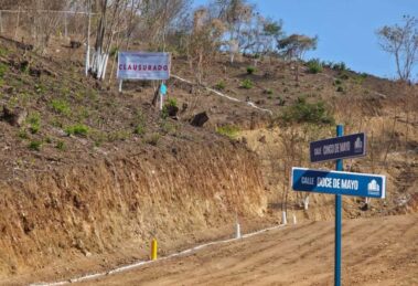 Clausuran autoridades dos megaproyectos en el istmo oaxaqueño por la invasión al entorno 17 forestal