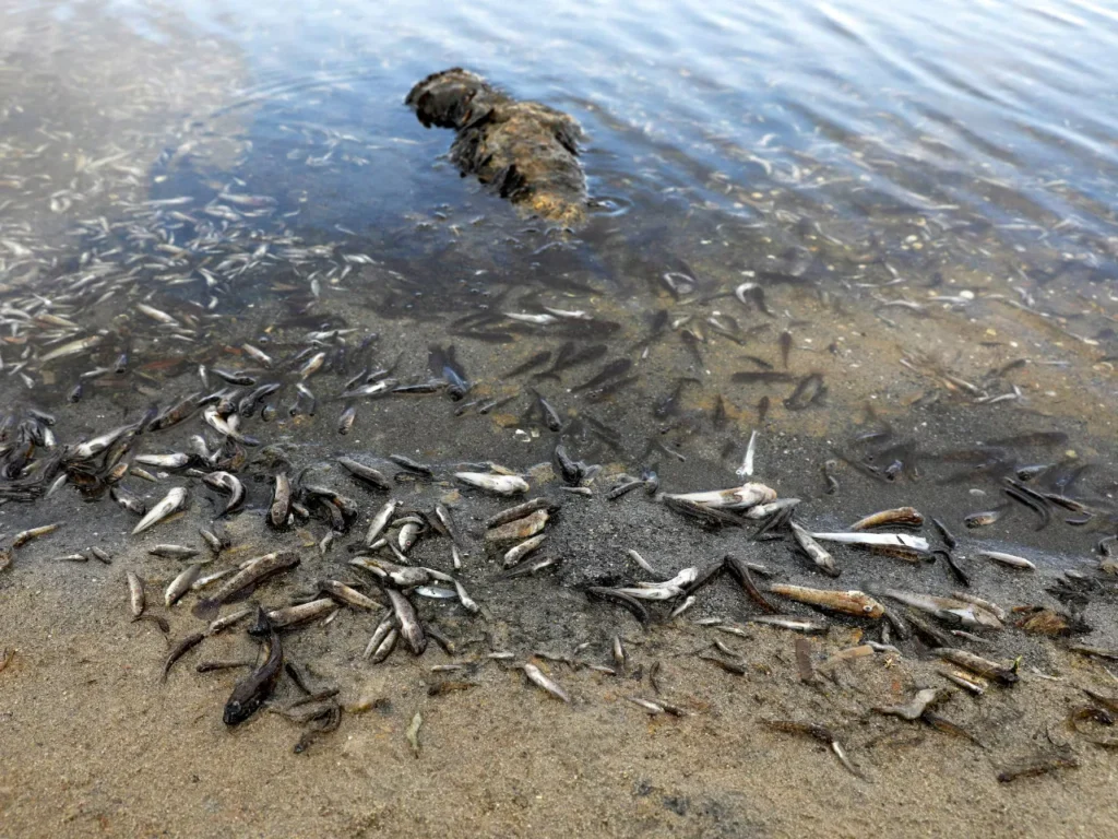 Corte suprema definirá el daño ecológico en Santiago del Estero 9 PGN 2