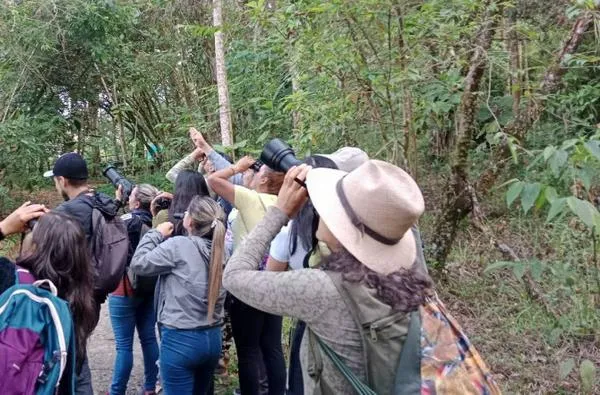 Avistamiento ambiental en Manizales: Participación en el October Big Day 11 PP4825276A s o 1