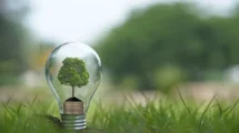 ¿Qué es una patente verde y cómo se aplica en México?  18 Planeta verde