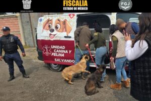 Rescate en Cacalomacán