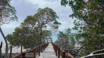 Denuncian que el proyecto Puerta al Mar militariza y destruye la Reserva de Sian Ka´an  17 hoy