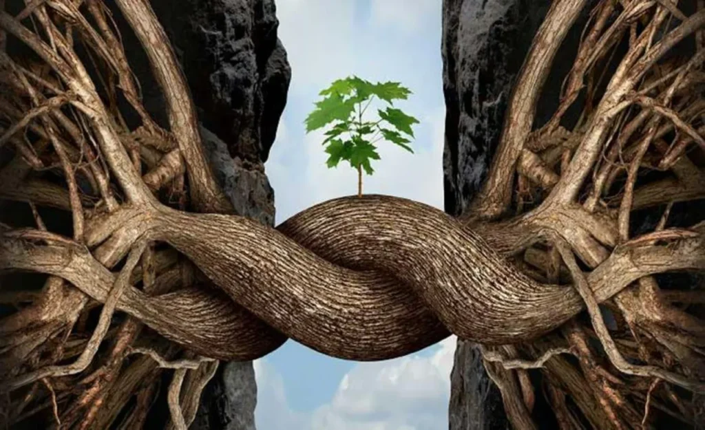 Resiliencia ecologica 2