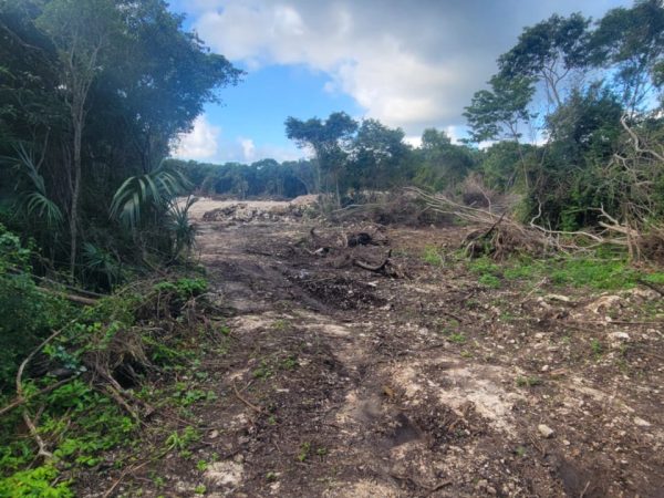 Royal Caribbean inicia demoliciones en Mahahual sin autorización ambiental 11 Royal Caribbean