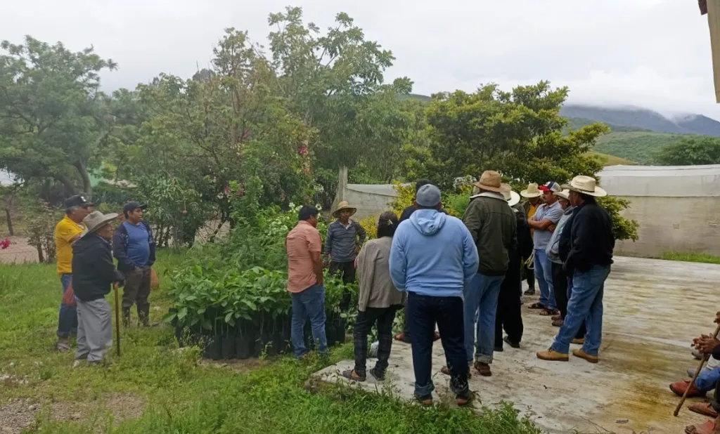 Las acciones que está tomando SEMAREN en el cuidado de la biodiversidad en la Montaña de Guerrero 11 SEMAREN