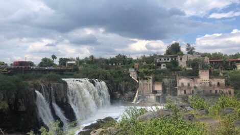 Semarnat recibe firmas