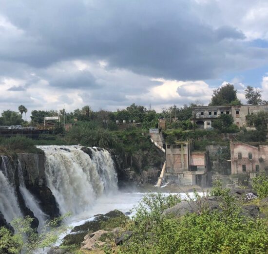 Semarnat recibe firmas