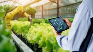 Sembrar más y mejor