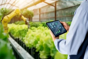 Sembrar más y mejor