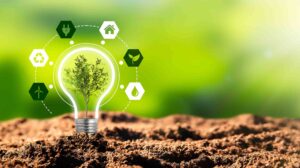 Semilleros de cambio