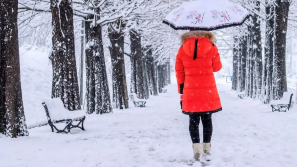 Solsticio de invierno: un espejo entre el cosmos, la historia y el desafío climático 11 Solsticio de invierno