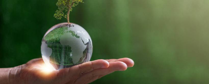 sostenibilidad