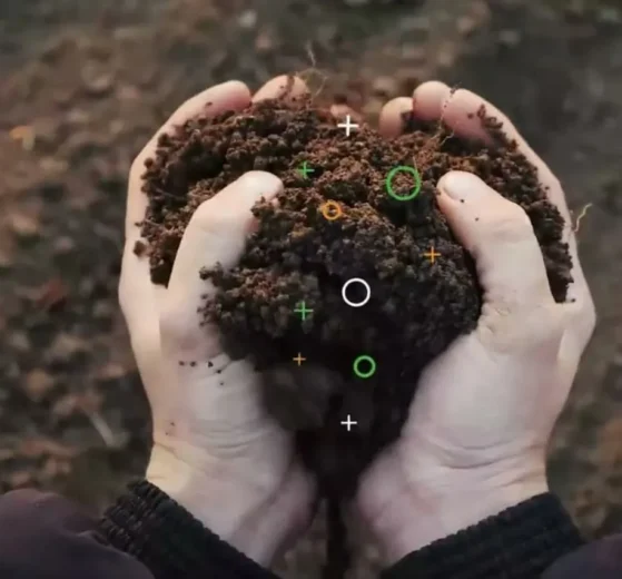 Startups verdes mexicanas que debes conocer 12 Startups