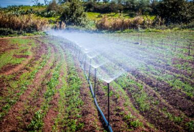 Startups verdes crecen en el ecosistema emprendedor mexicano 18 Startups verdes crecen en el ecosistema emprendedor mexicano