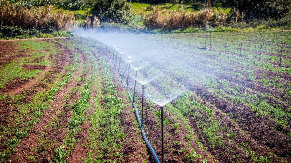 Startups verdes crecen en el ecosistema emprendedor mexicano