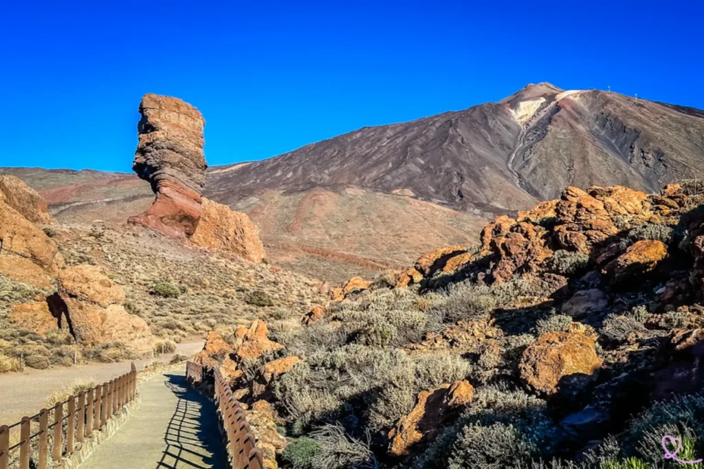Tenerife apuesta por la conservación: aplicará un ecoimpuesto en el Parque Nacional del Teide 11 Tenerife