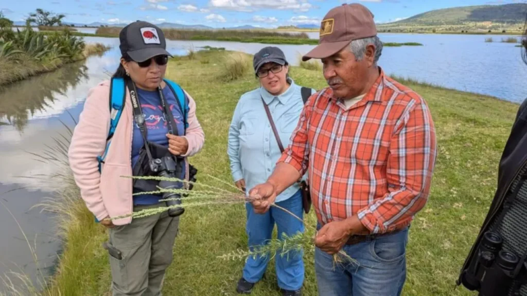 Tlaxco reafirma su compromiso con el medio ambiente y la naturaleza 10 Tlaxco WEB
