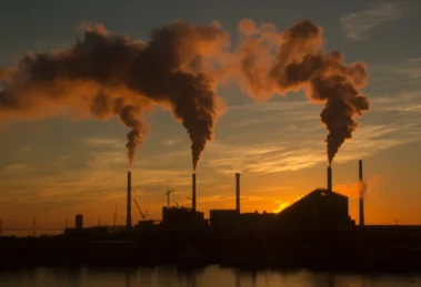 Transición energética sin subsidios