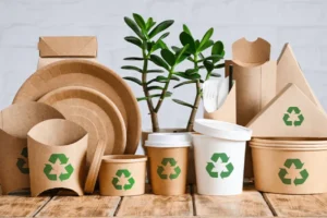 Walmart y Natura aceleran su transición hacia operaciones ecológicas 14 VAJILLA