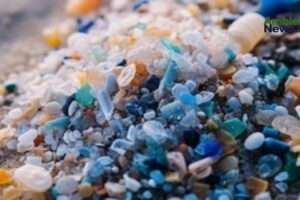 Contaminación por plásticos: una amenaza invisible que ya impacta en todo el planeta  14 WEB AN 10