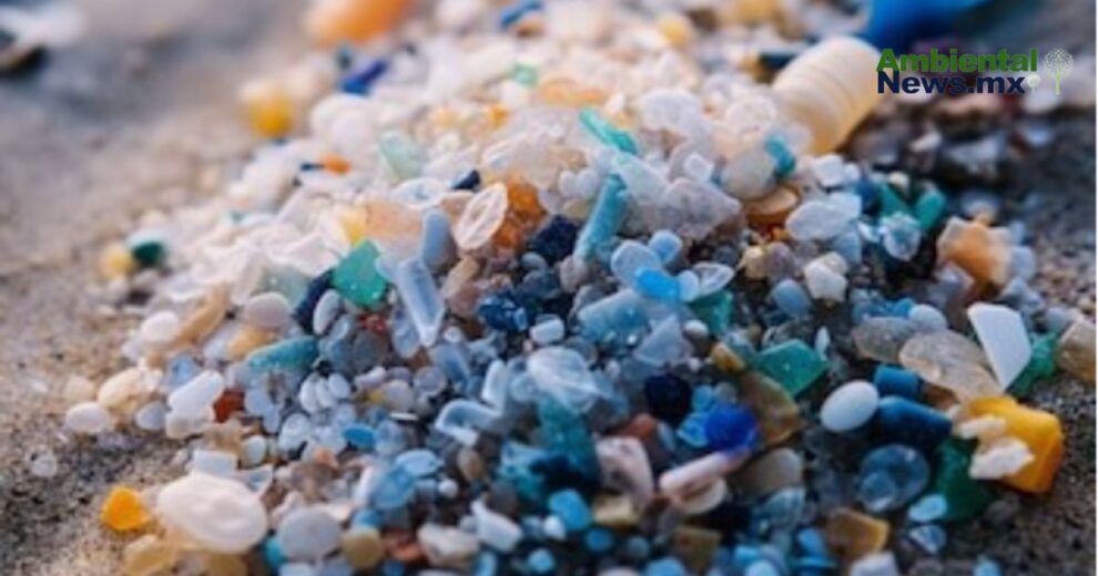 Contaminación por plásticos: una amenaza invisible que ya impacta en todo el planeta 11 WEB AN 10