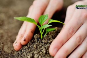 Cuidar el medio ambiente: una necesidad vital, no un lujo 13 WEB AN 11