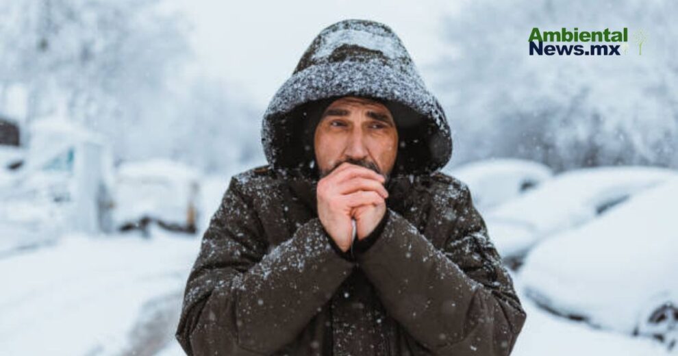 Frío polar extremo azota Chile y Argentina con consecuencias inesperadas 11 Frío polar extremo azota Chile y Argentina con consecuencias inesperadas