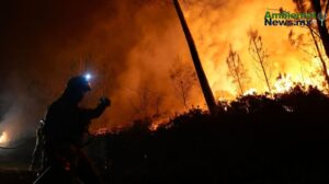Evolución de los incendios forestales en España