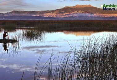 Declaran el Día Estatal de las Ciénegas del Lerma para frenar su deterioro 15 WEB AsN 1 18