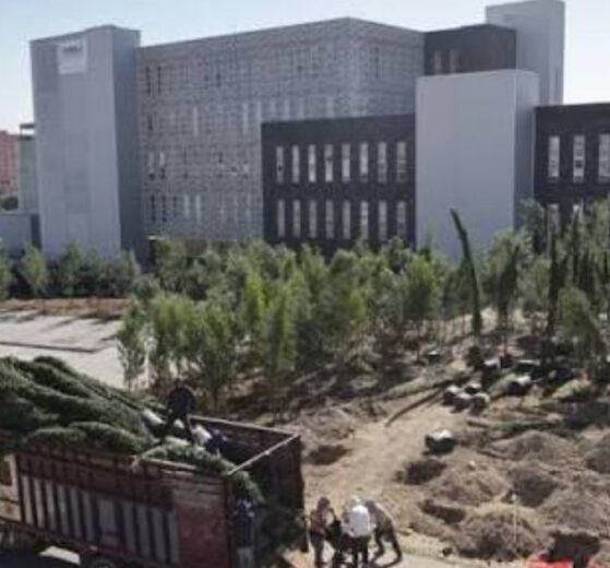 Puebla inicia reforestación masiva de 10 mil árboles en el bosque urbano 14 WEB AsN 1 19