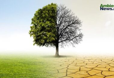 ¿Es tiempo de una Secretaría del Cambio Climático con voz propia? 18 WEB AsN 1 20