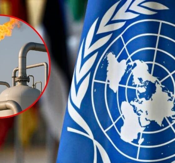 ONU alerta a México: megaproyectos de gas en el Golfo de California amenazan el clima, derechos humanos y ecosistemas 11 WEB AsN 1 8