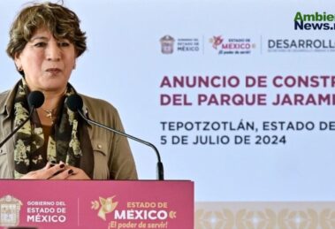 Reforma de Delfina Gómez reestructura PROBOSQUE para fortalecer la gestión forestal en el Estado de México 12 WEB AsN 14