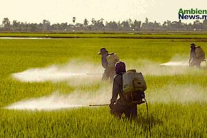 México prohíbe 35 plaguicidas para proteger la salud y el Medio Ambiente