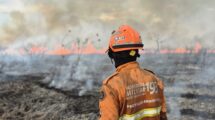 Amazonía: Temperaturas extremas y la urgencia de actuar frente al cambio climático  17 hoy