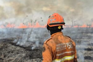 Amazonía: Temperaturas extremas y la urgencia de actuar frente al cambio climático  20 hoy
